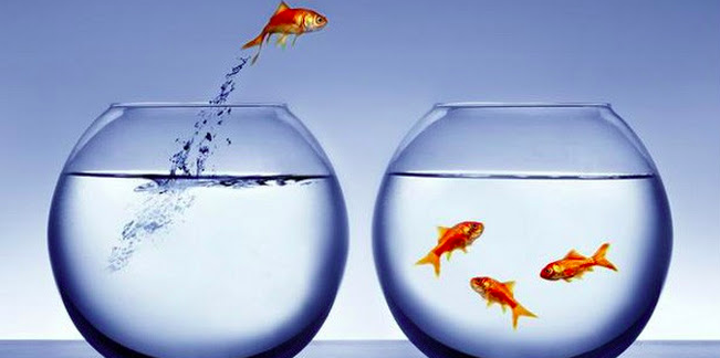 螢幕快照 2020-03-03 下午5.39.00.png